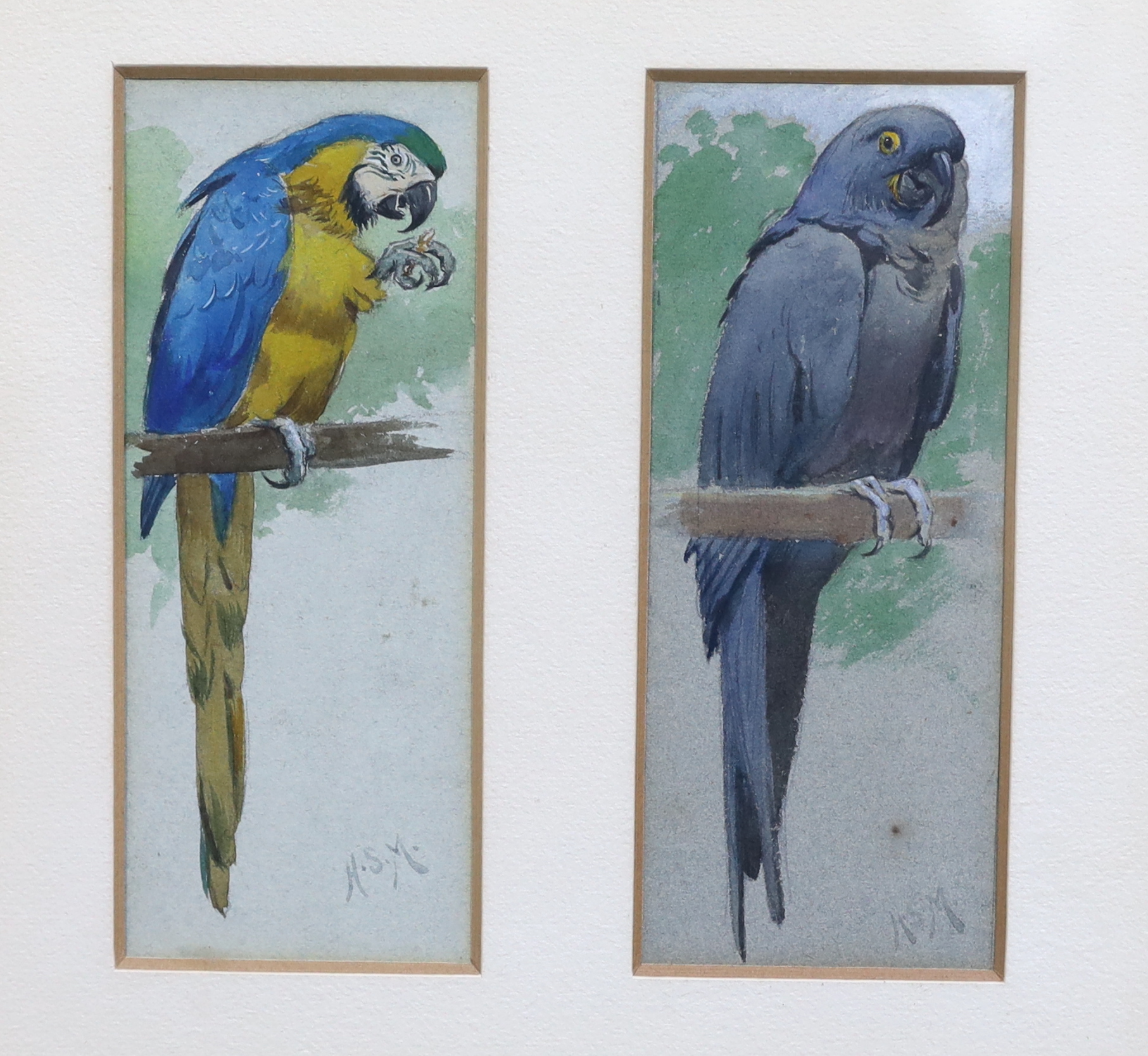 Henry Stacy Marks R.A., (British, 1829-1898), Blue and Yellow Macaw and Hyacinth Macaw, watercolour (2), each 17.5 x 7cm